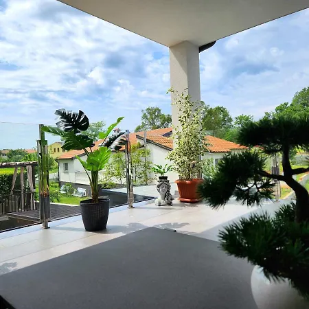Luxury Modern 